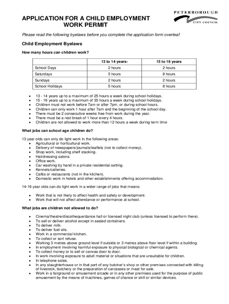 council application work permit Preview on Page 1