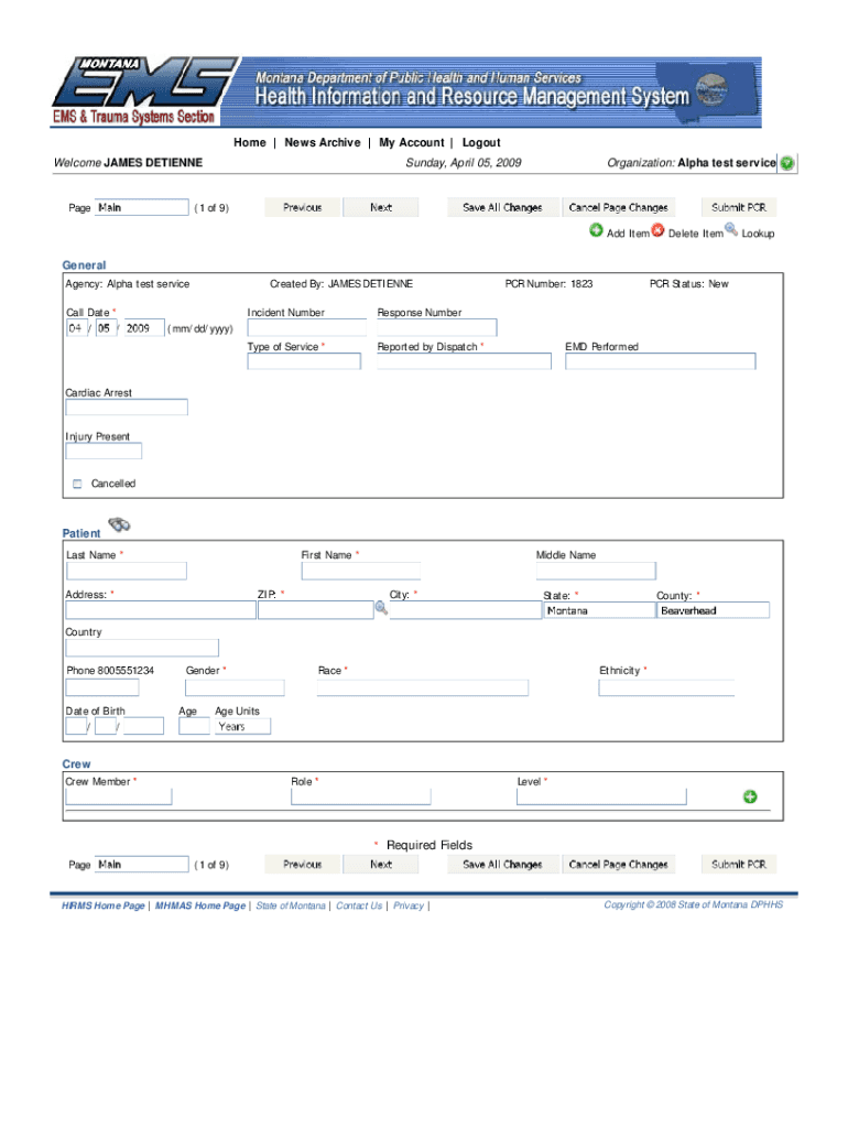 Form preview