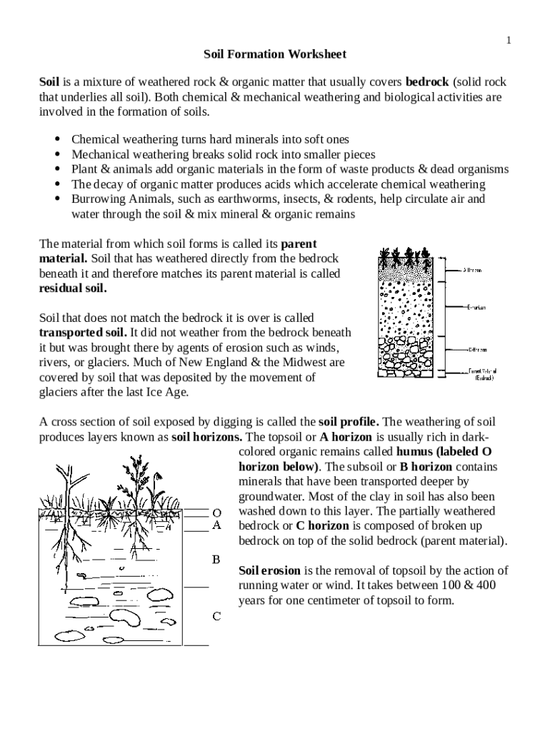 Soil ation Worksheet ES reading WS .docx - Soil ation Worksheet ... Doc ...
