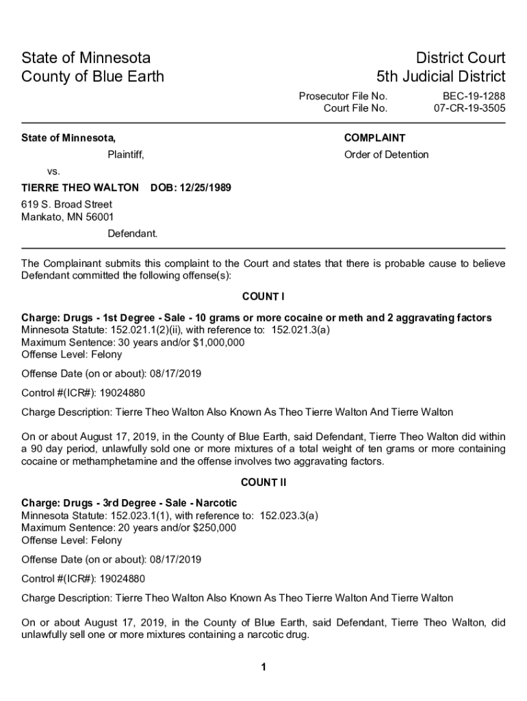 Fillable Online mss blueearthcountymn Blue Earth County Criminal