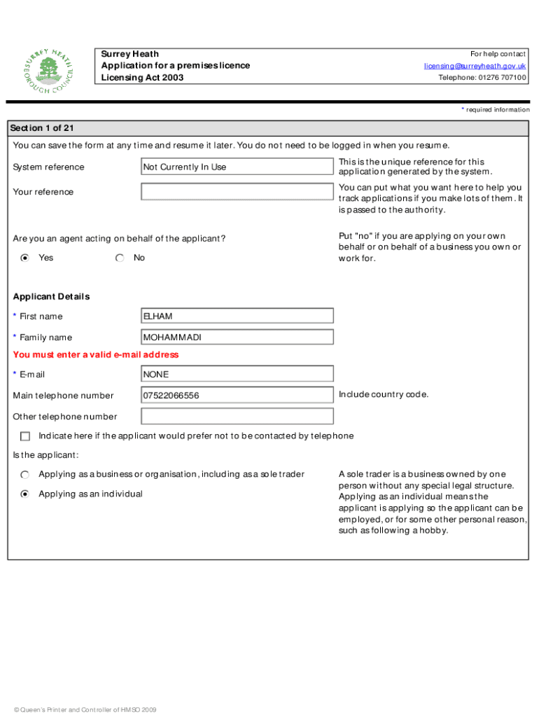 Form preview