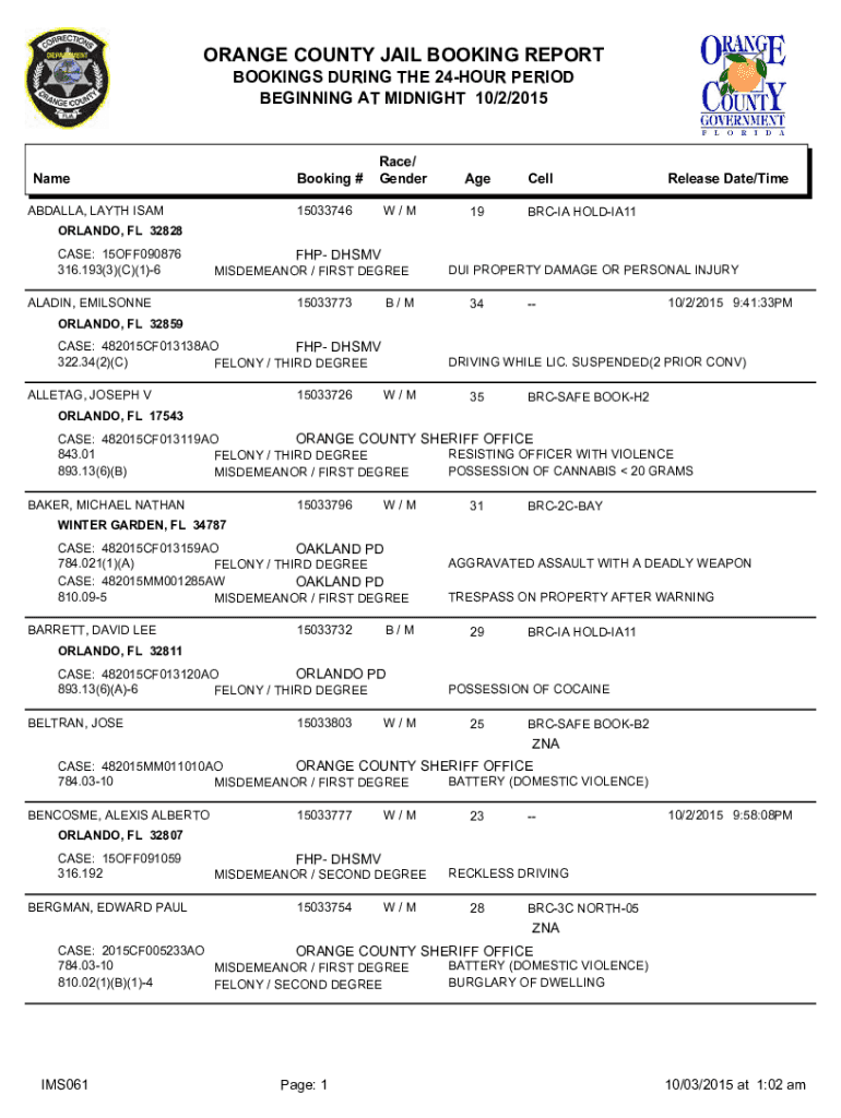 form online Preview on Page 1