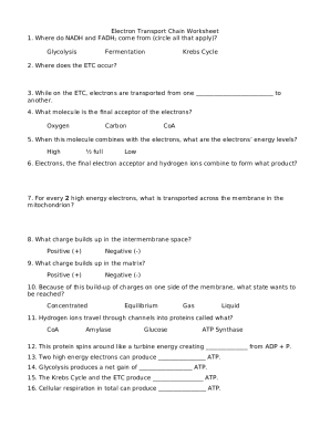 Electron Transport Chain Worksheet.doc - Electron Transport...