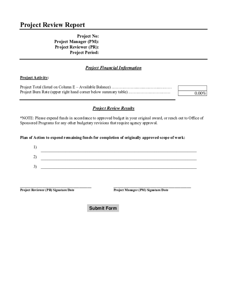 Fillable Online Project Review Report Template Fax Email Print - pdfFiller