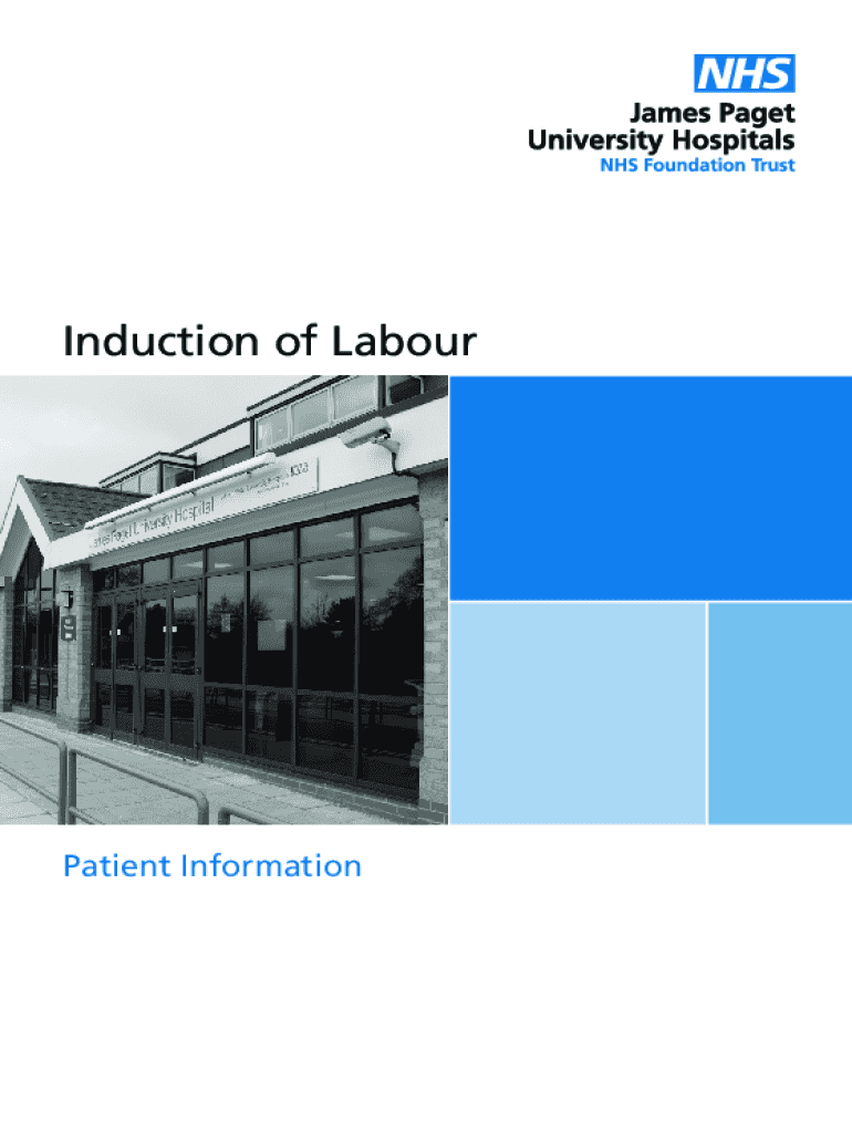 Fillable Online Induction