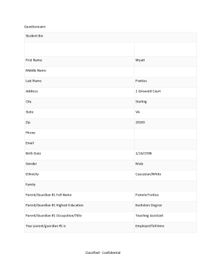 Form preview