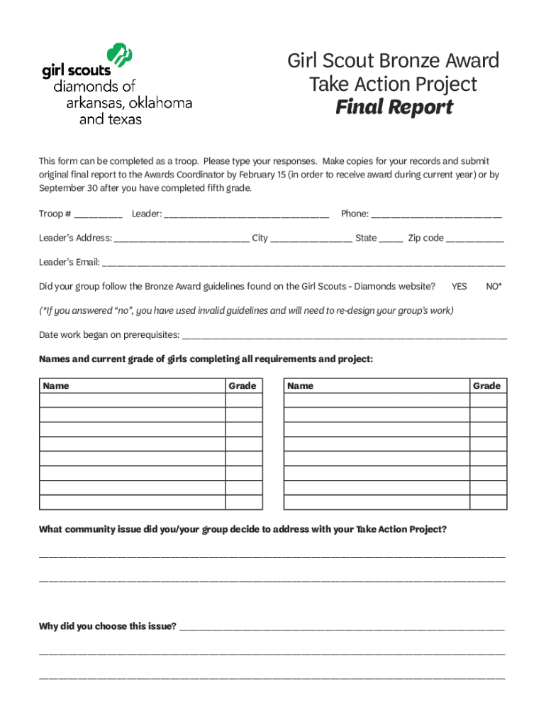 Fillable Online Bronze Award Final Report. Bronze Award Final Report