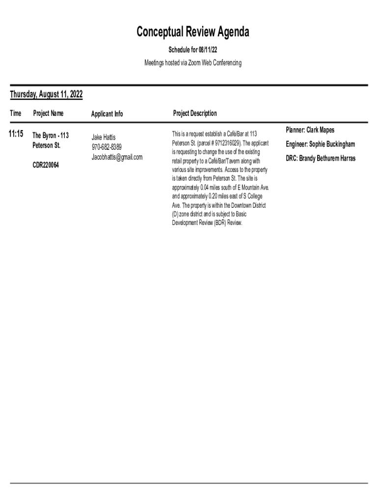 Form preview