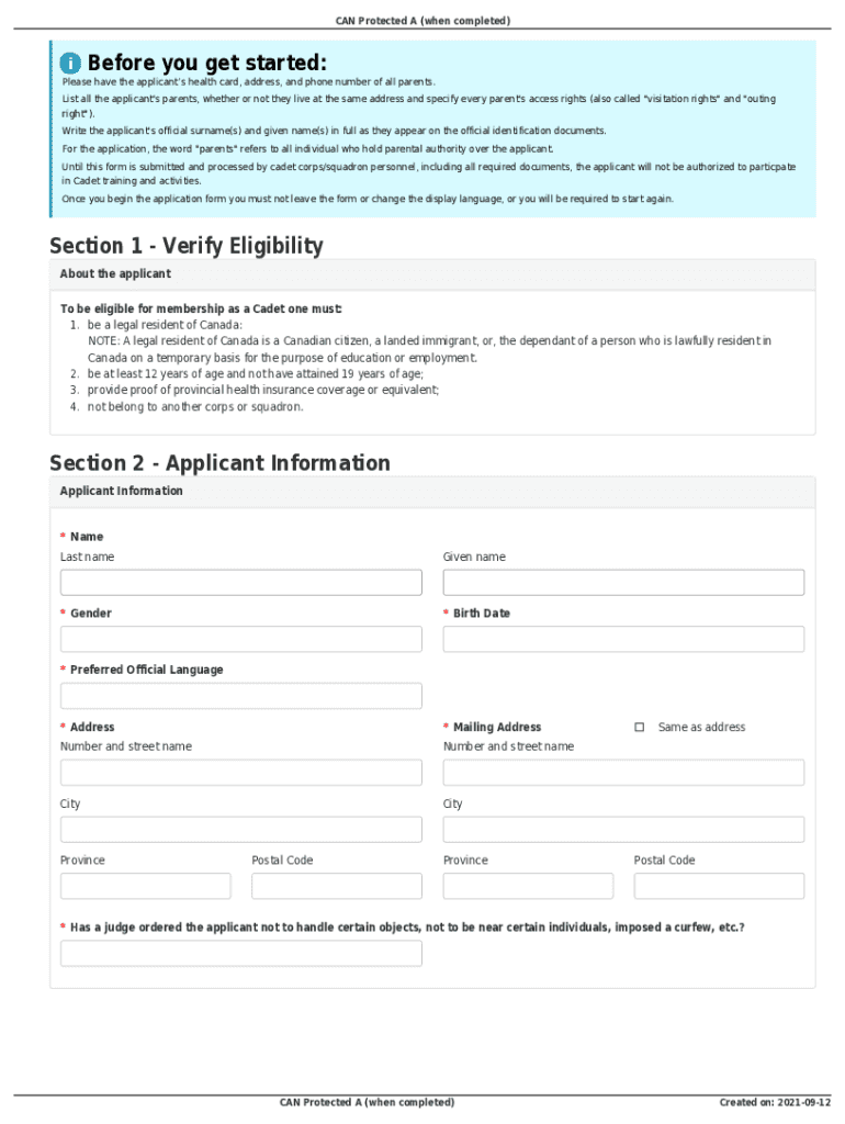 Form preview