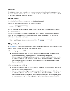 Form preview