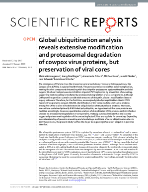 Fillable Online Global ubiquitination analysis reveals extensive