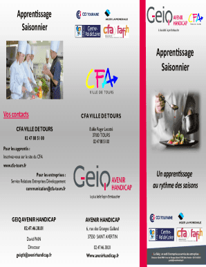 Remplissable En Ligne Centre De Formation Apprentis Ville De Tours C.F