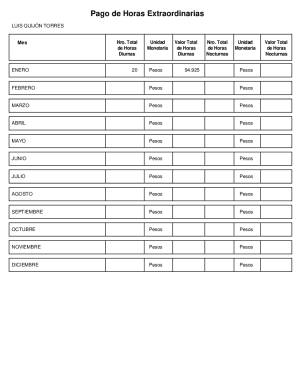 Pago de Horas Extraordinarias