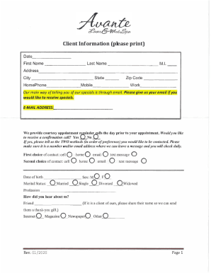 Form preview