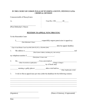 Petition to Appeal Nunc Pro Tunc.docx