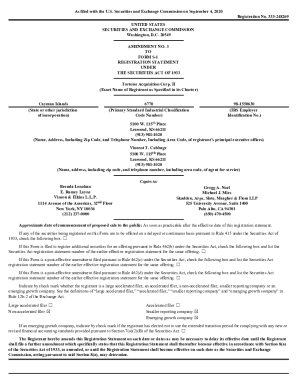 0001213900-20-025408. S-1/A