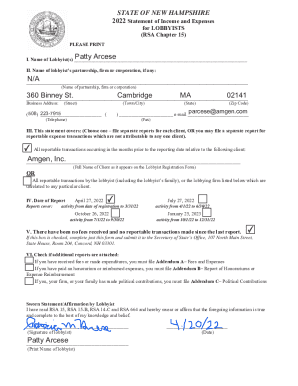 Form preview
