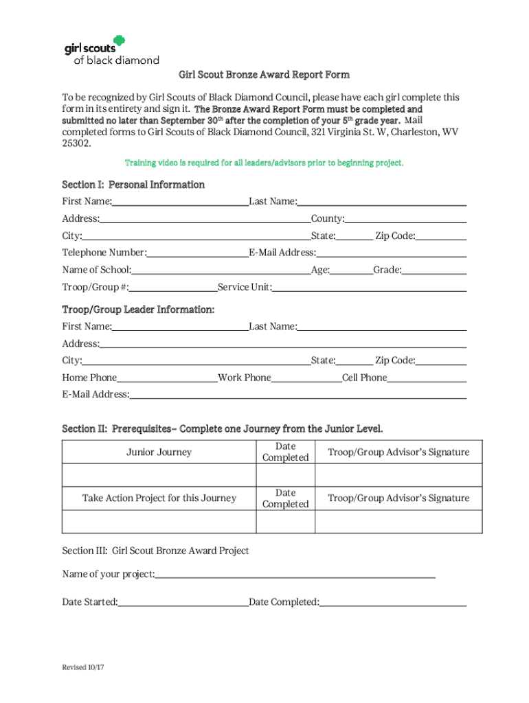 Fillable Online Bronze Award Report Form Fax Email Print pdfFiller