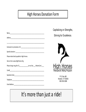 High Horses Donation Form