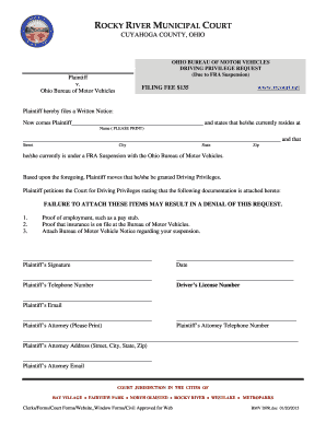 Ohio Driving Privilege Request Form