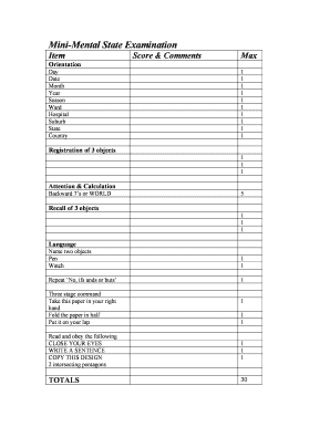 Mini-Mental State Examination Form