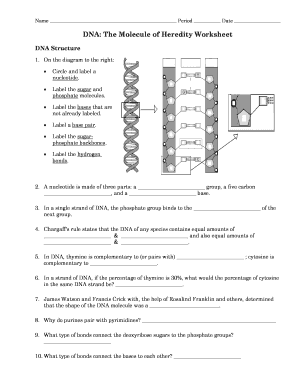 Dna The Molecule Of Heredity Worksheet - Fill and Sign Printable Template  Online
