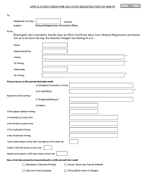 Delayed Birth Registration Application Form
