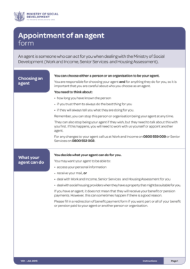 Appointment of an Agent Form