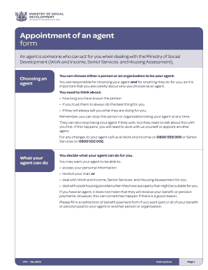Appointment of an Agent Form