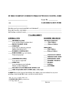 Ohio Domestic Relations Case Designation Form