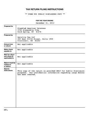IRS Form 990 2013