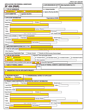 SF 424 Application for Federal Assistance