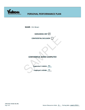 Personal Performance Plan