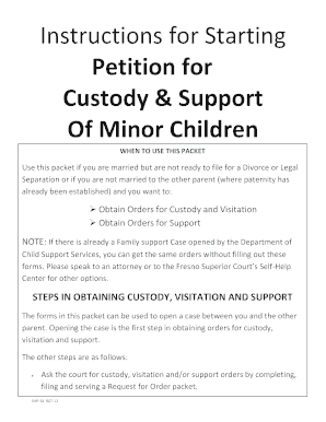California Petition for Custody and Support of Minor Children