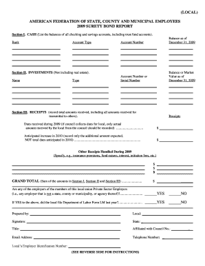 AFSCME 2009 Surety Bond Report