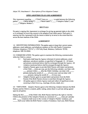 Open Adoption Plan and Agreement
