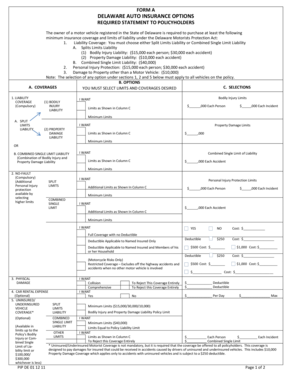 Delaware Auto Insurance Options Form