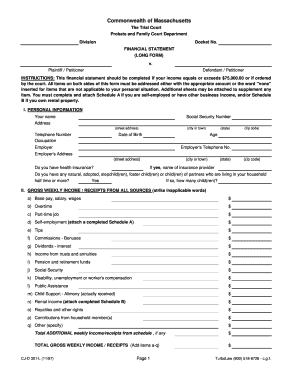 Massachusetts Long Form Financial Statement