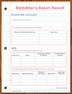 Babysitting Basics Report Record