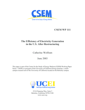 CSEM WP 111.doc - ei haas berkeley