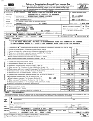 Form 990 2013