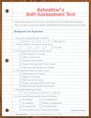 Babysitter Self-Assessment Tool