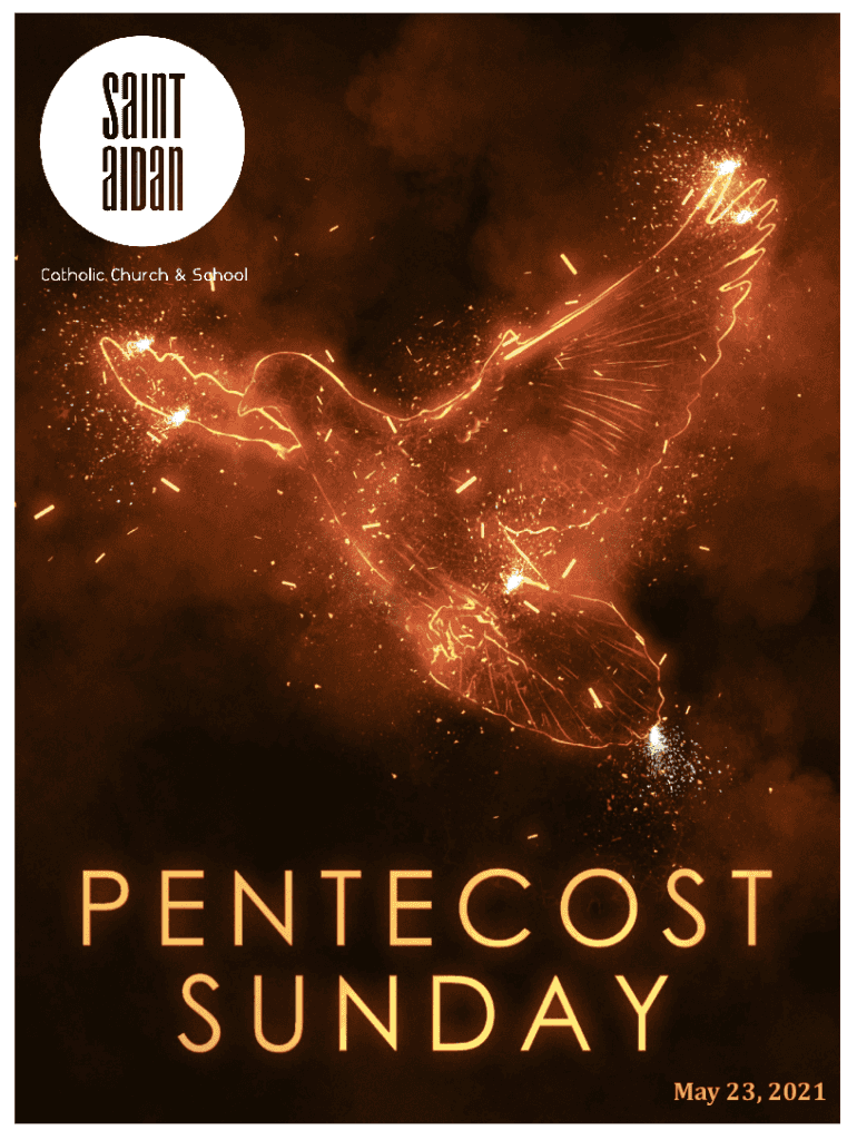 Fillable Online Church of St. Aidan in Williston Park, New York Mass