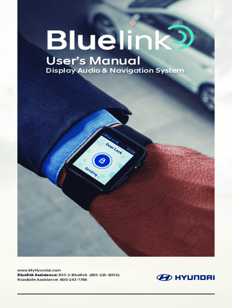 Fillable Online Bluelink User