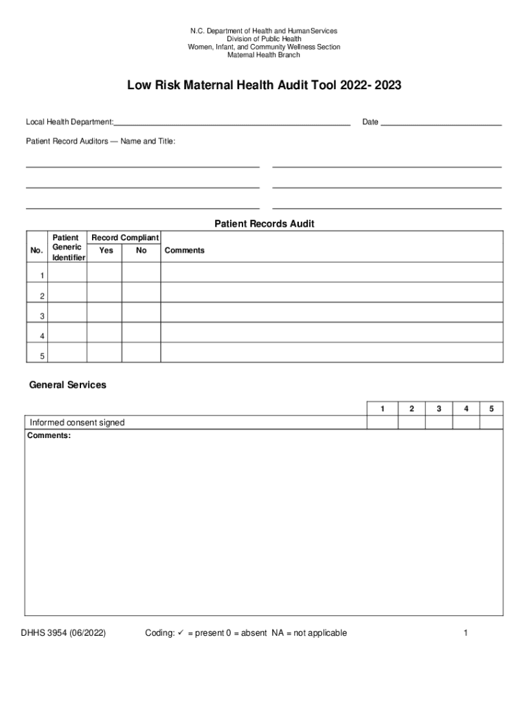 Fillable Online FY20222023 Record Audit Maternal Health (Form 3954LR) Fax Email Print pdfFiller