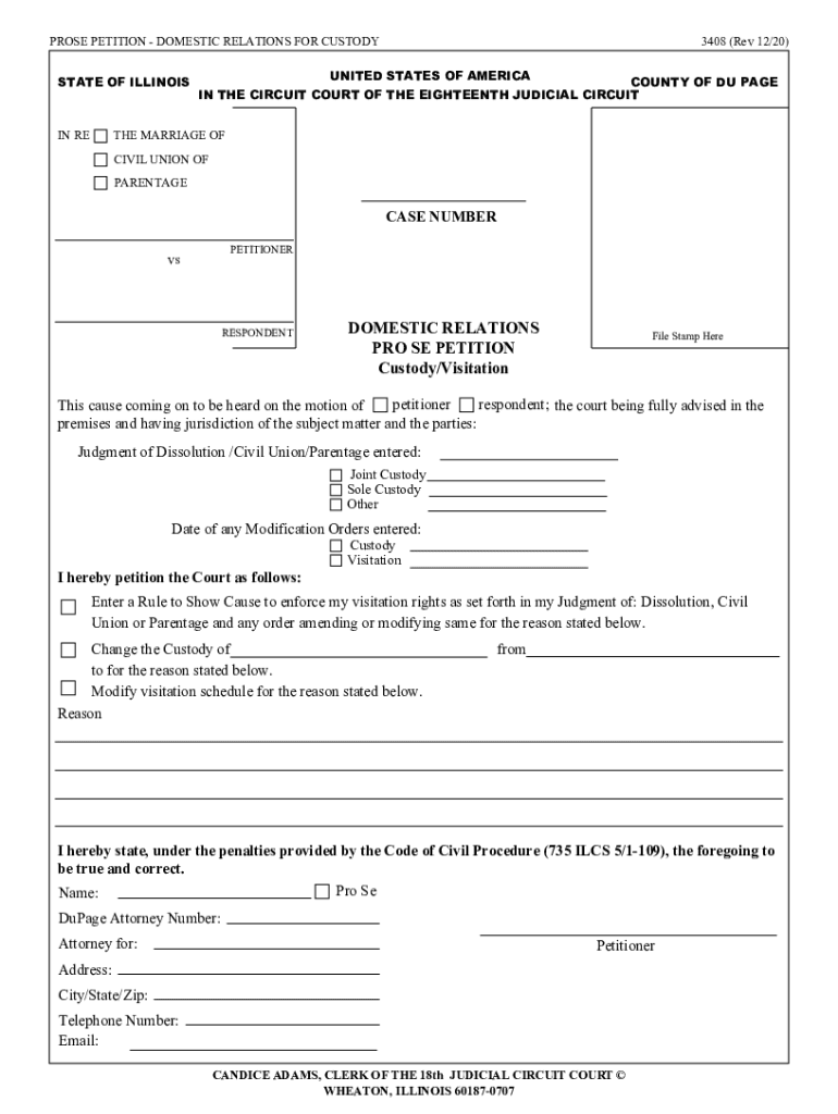 DOMESTIC RELATIONS PRO SE PETITION Custody Visitation Preview on Page 1