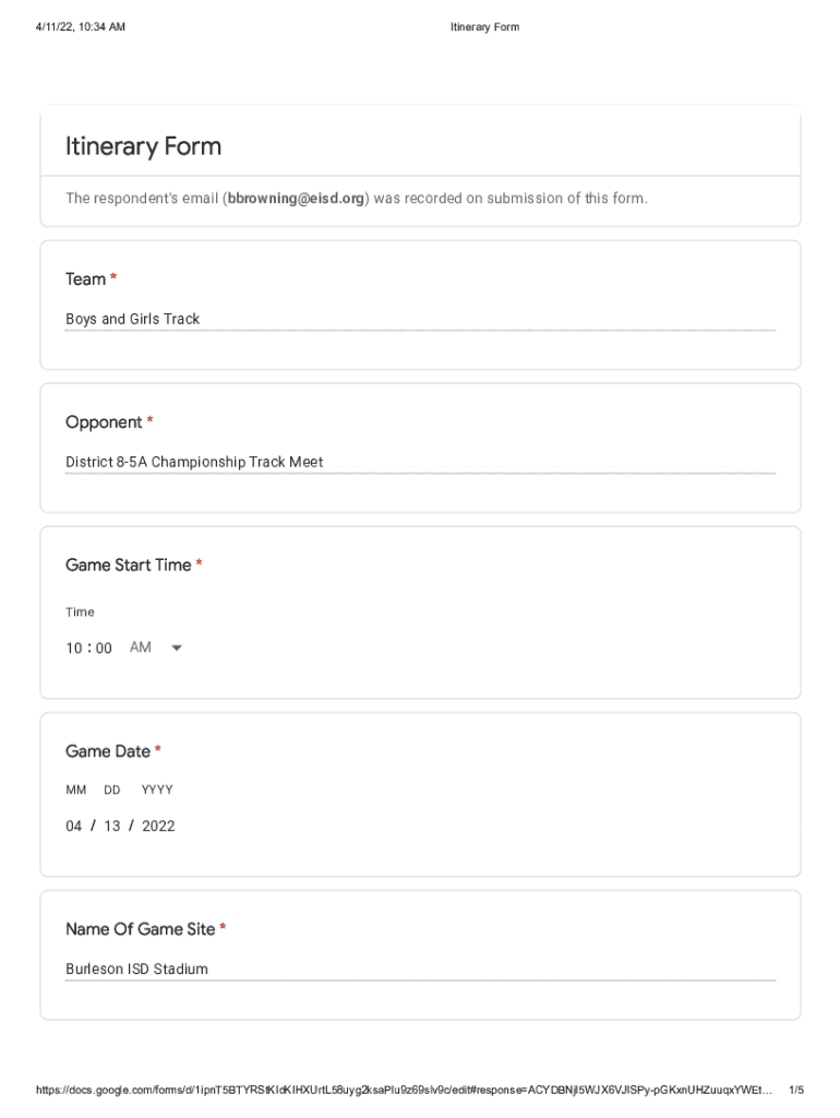 Form preview