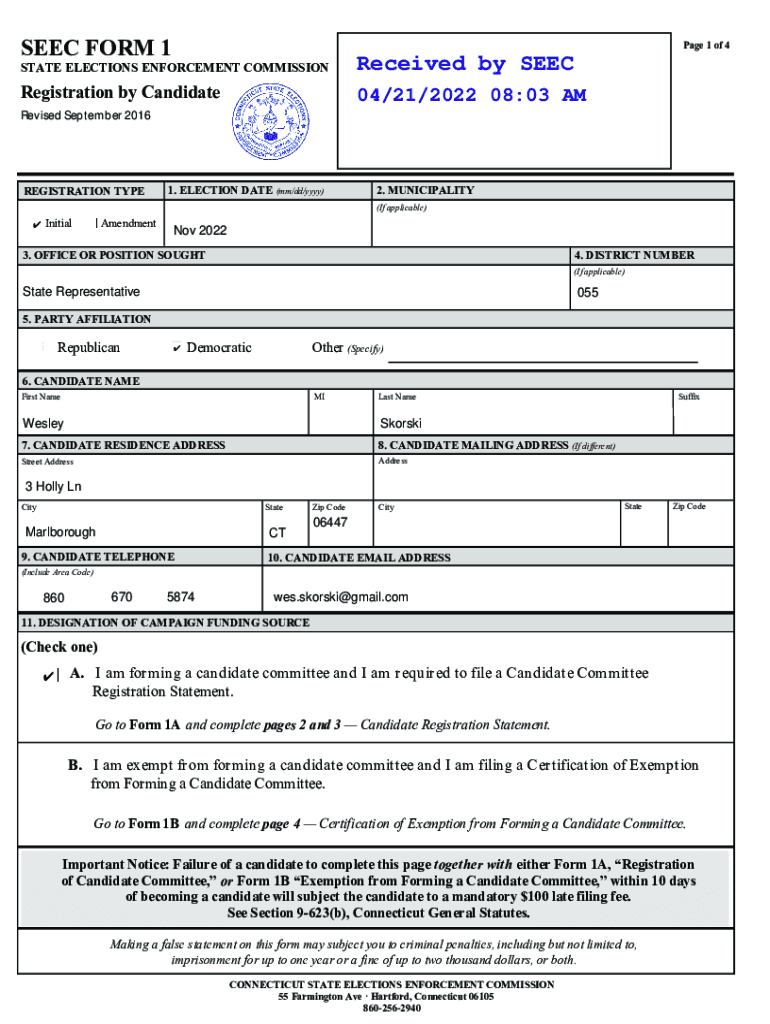 Form preview