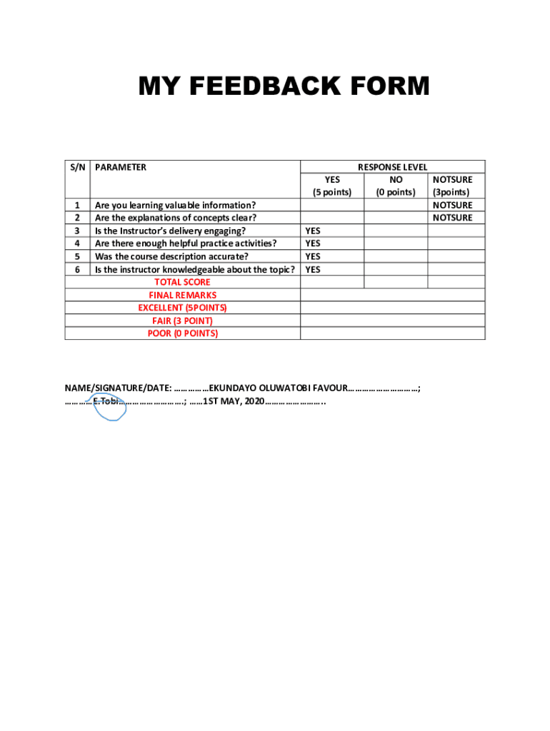 Form preview