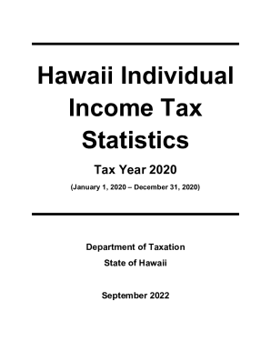 tax.hawaii.govstatsa51annualHawaii Individual Income StatisticsDepartment of Taxation
